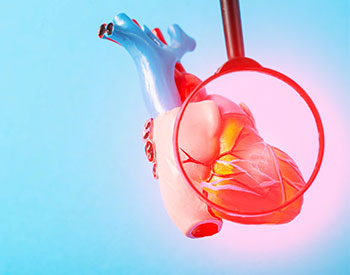Medical mock-up of a heart under a magnifying glass on a blue background. Heart disease concept, inflammation of the heart muscle, myocardial infarction, coronary heart disease.